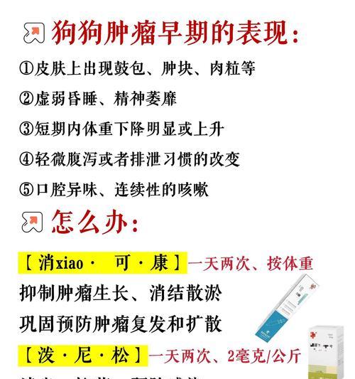 狗狗肿瘤破了该如何处理？正确用药与护理要点