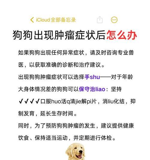 狗狗肿瘤破了该如何处理？正确用药与护理要点