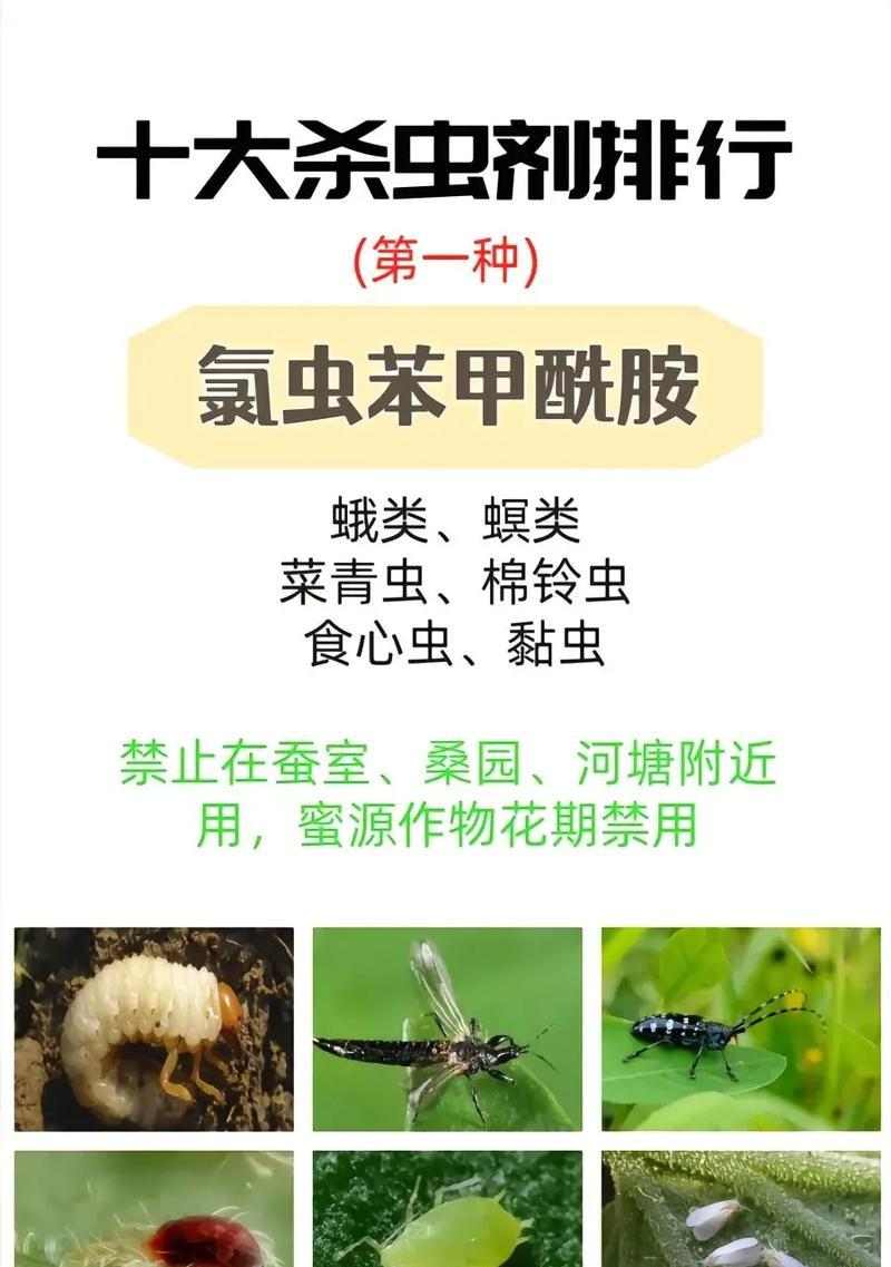 人体寄生虫感染治疗方案与预防措施 人体寄生虫感染治疗方案与预防措施