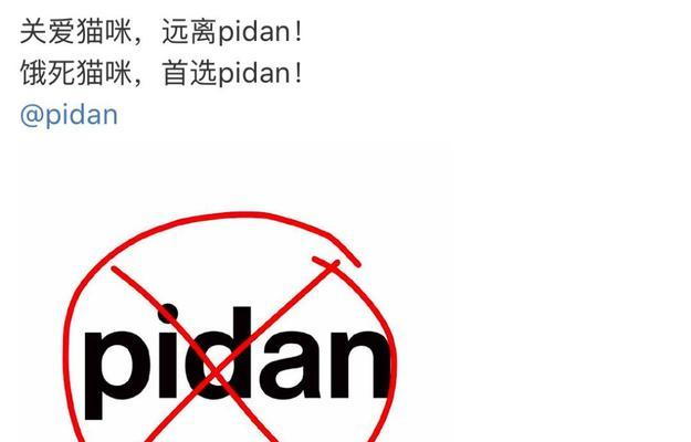 猫咪断粮应急指南：必备物品与科学应对方法