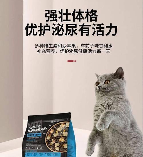 猫咪断粮应急指南：必备物品与科学应对方法