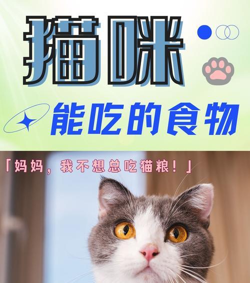 猫咪健康饮食全攻略：营养搭配与喂养技巧