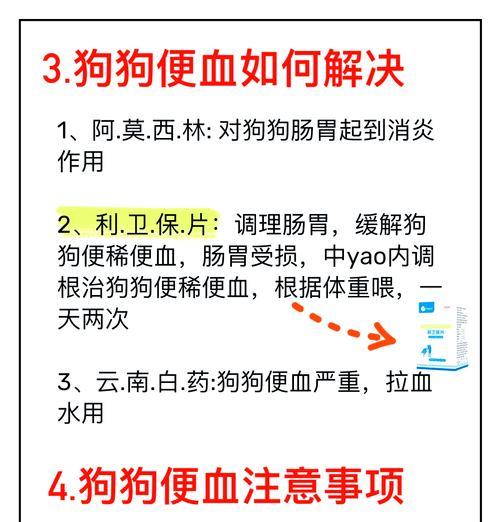 狗狗腹泻怎么办？原因与简单处理方法