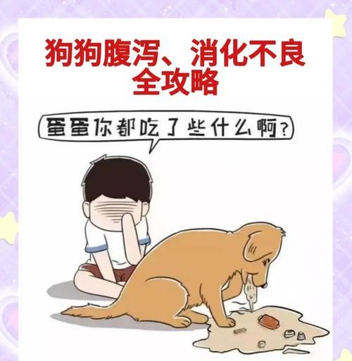 狗狗腹泻怎么办？原因与简单处理方法