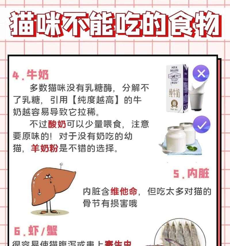 猫咪饮食禁忌与药品安全指南