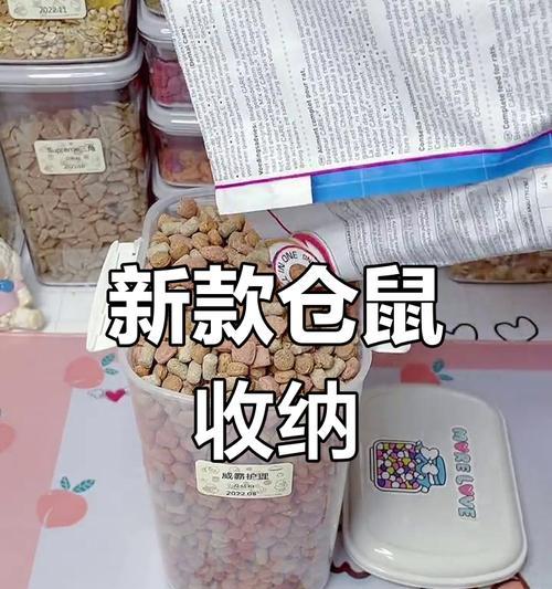 养仓鼠必备物品与注意事项,打造健康舒适生活环境 养仓鼠必备物品与注意事项,打造健康舒适生活环境