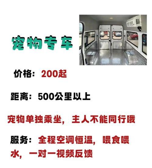 宠物托运全攻略:手续详解与安全指南 宠物托运全攻略:手续详解与安全指南