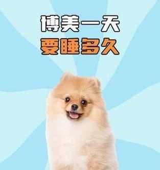 宠物狗睡眠时间与健康的关系