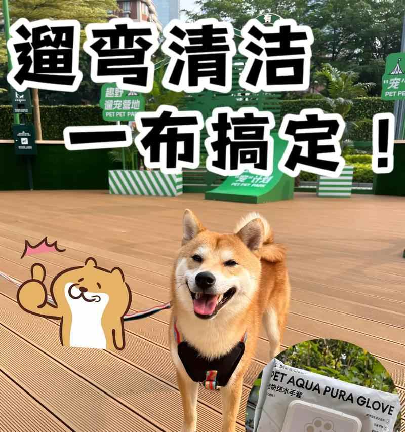 如何正确清洁狗狗屁股？五步打造健康卫生