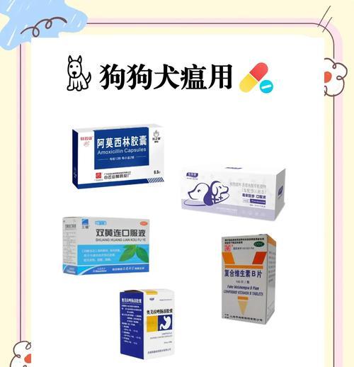 狗狗感冒与细小犬瘟的区别及治疗指南