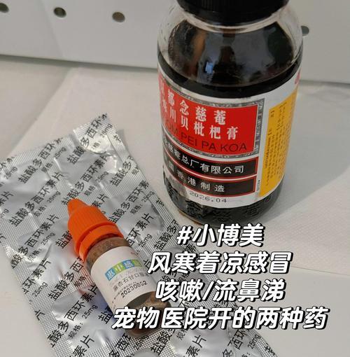 狗狗感冒与细小犬瘟的区别及治疗指南