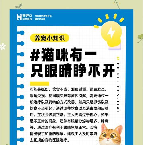 如何正确清洁猫咪眼睛,守护它们的健康 如何正确清洁猫咪眼睛,守护它们的健康