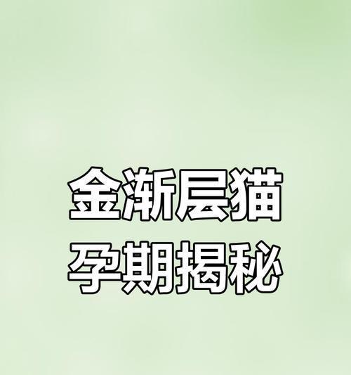 猫咪怀孕期间的护理与注意事项 猫咪怀孕期间的护理与注意事项