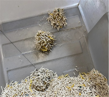 细腻结团快 小菊混合猫砂性价比高 细腻结团快 小菊混合猫砂性价比高