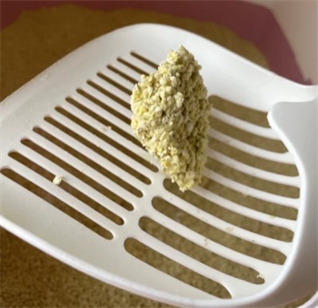 神经猫小米猫砂测评:颗粒均匀结团快,除臭效果佳 神经猫小米猫砂测评:颗粒均匀结团快,除臭效果佳