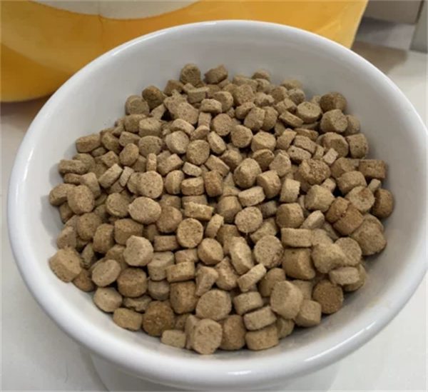 无谷高肉烘焙粮推荐：低敏营养，适合长肉猫咪