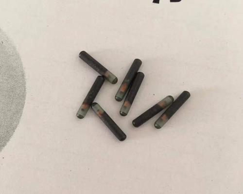 智能宠物防护新方案：狗晶片全解析与实用指南