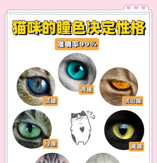 猫咪性格特征解析:了解它们的独特行为与习惯 猫咪性格特征解析:了解它们的独特行为与习惯