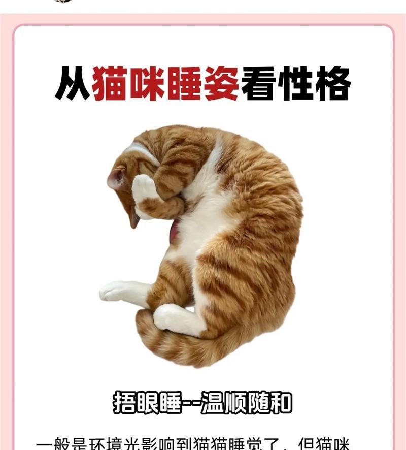 猫咪性格特征解析:了解它们的独特行为与习惯 猫咪性格特征解析:了解它们的独特行为与习惯