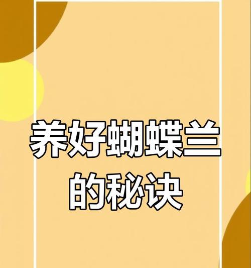 蝴蝶兰养护全攻略:关键技巧与注意事项 蝴蝶兰养护全攻略:关键技巧与注意事项