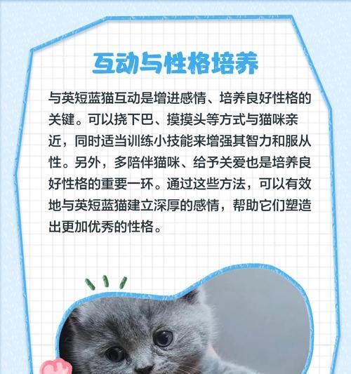 英短蓝猫发腮特征揭秘：成因与护理全解析