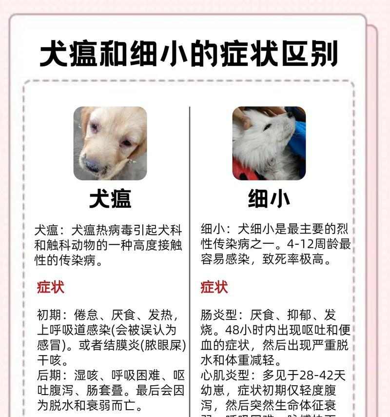 细小病危害与防护措施指南 细小病危害与防护措施指南