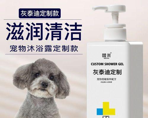 贵宾犬洗澡频率与护理技巧全解析
