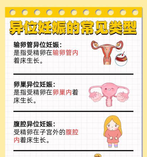 怀孕早期发育过程：从受孕到胚胎植入时间轴解析