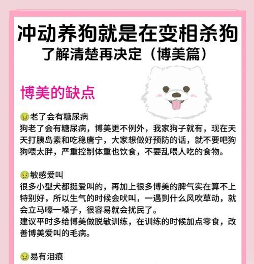 幼犬博美饲养指南:保暖与健康要点 幼犬博美饲养指南:保暖与健康要点