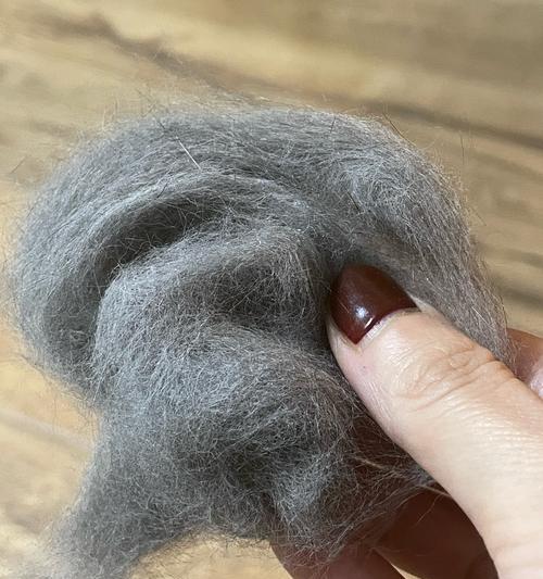 猫咪梳毛频率指南:科学梳理方法与注意事项 猫咪梳毛频率指南:科学梳理方法与注意事项