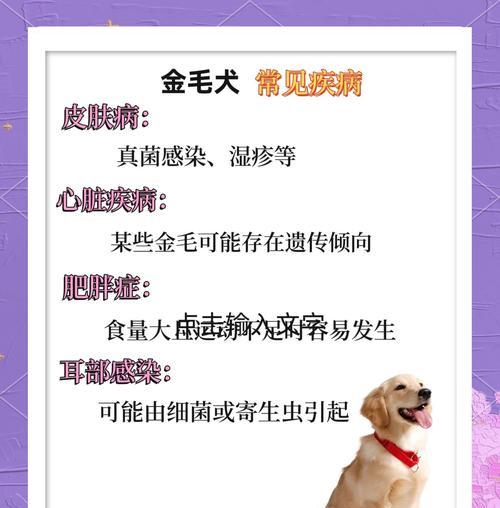 金毛配种后怀孕检测时机及方法 金毛配种后怀孕检测时机及方法