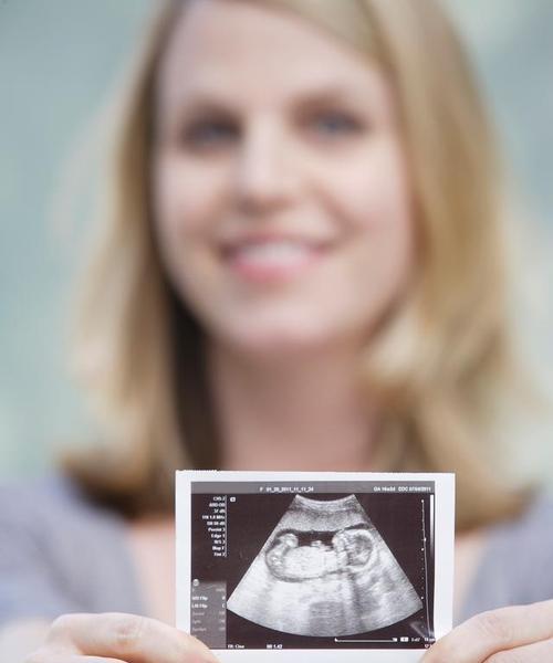 猫咪怀孕食量变化规律及科学喂养指南