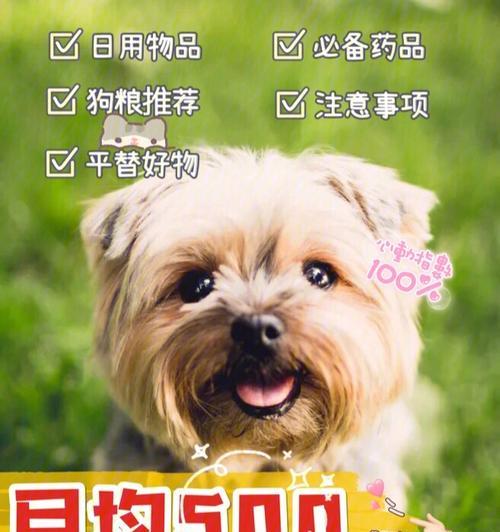 泰迪狗狗喂养指南:不同阶段狗粮摄入量计算与注意事项 泰迪狗狗喂养指南:不同阶段狗粮摄入量计算与注意事项