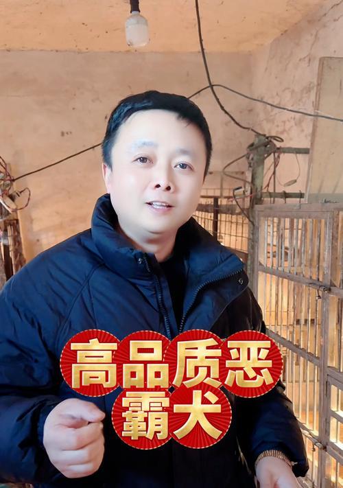 恶霸犬耳朵护理指南:预防感染的正确清洁方法 恶霸犬耳朵护理指南:预防感染的正确清洁方法