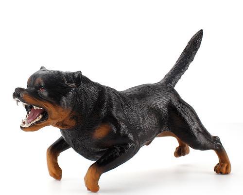 恶霸犬耳朵护理指南:预防感染的正确清洁方法 恶霸犬耳朵护理指南:预防感染的正确清洁方法