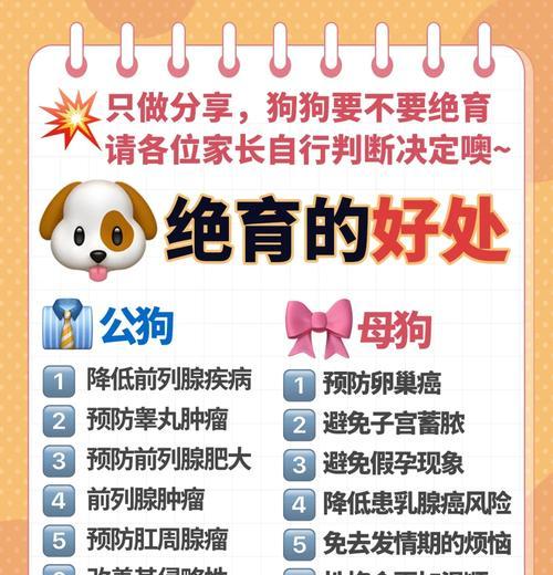 狗结扎术后恢复指南:时间与注意事项全解析 狗结扎术后恢复指南:时间与注意事项全解析