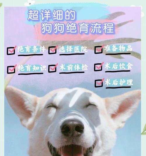 狗结扎术后恢复指南:时间与注意事项全解析 狗结扎术后恢复指南:时间与注意事项全解析