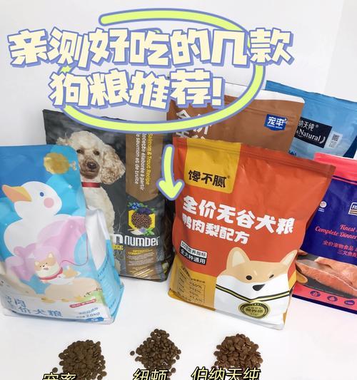 狗狗吃硬粮最佳时机全解析：从幼犬到老年阶段全指南