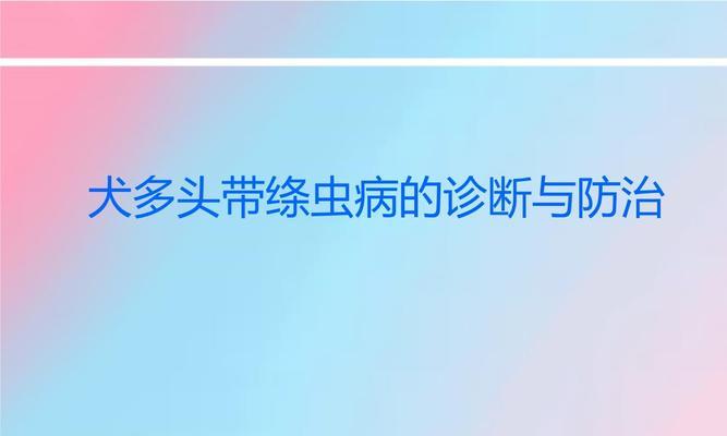 犬绦虫病症状与预防全解析，守护宠物家人健康