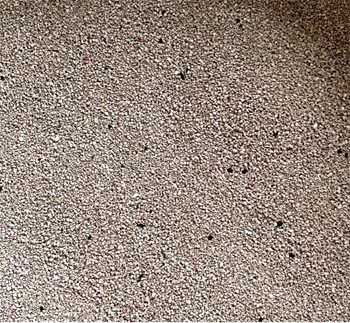 哆来咪DO2矿砂测评：细腻低尘结团快，适合多猫家庭