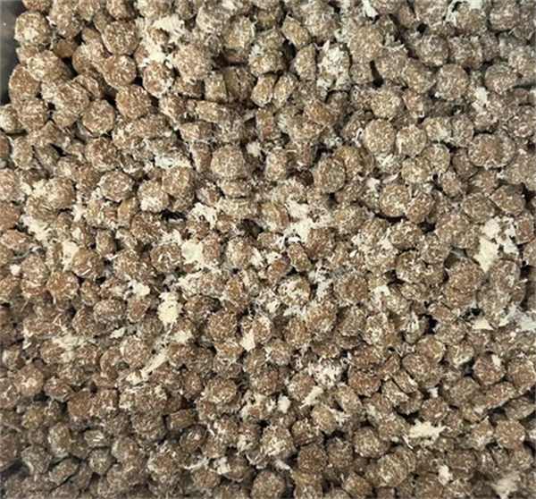 低温烘焙猫粮营养密度高适口性佳测评