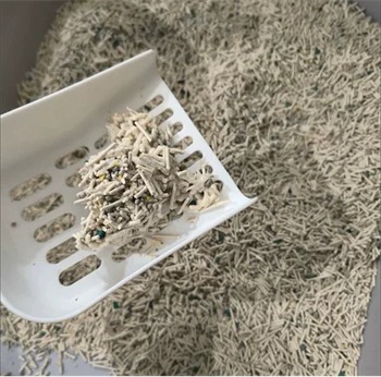 性价比高除臭效果好的猫砂推荐 性价比高除臭效果好的猫砂推荐