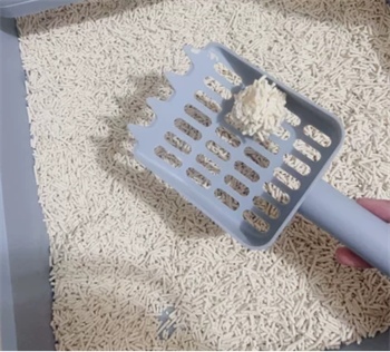 江小傲豆腐猫砂性价比分析 推荐混合猫砂更实用 江小傲豆腐猫砂性价比分析 推荐混合猫砂更实用