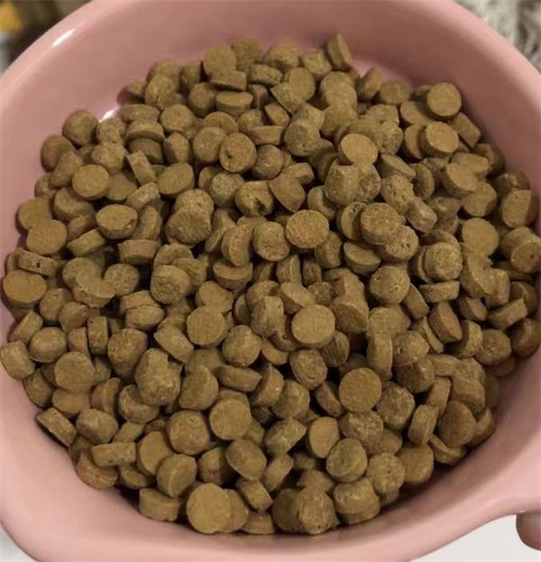 高蛋白无谷物猫粮测评：营养与适口性分析