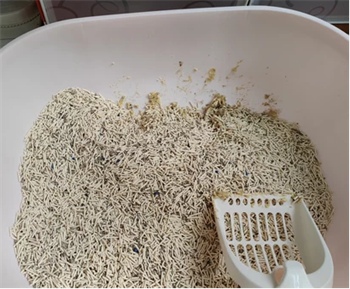 江小傲豆腐猫砂性价比分析 推荐混合猫砂更实用 江小傲豆腐猫砂性价比分析 推荐混合猫砂更实用