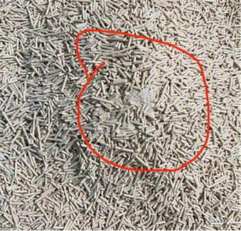 江小傲豆腐猫砂性价比分析 推荐混合猫砂更实用 江小傲豆腐猫砂性价比分析 推荐混合猫砂更实用