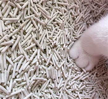 豆腐猫砂除臭强结团紧实不粘底懒人推荐