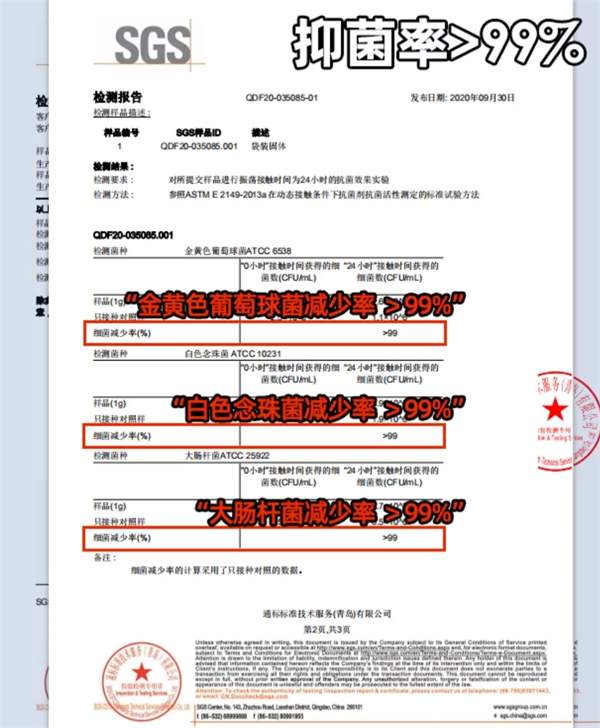 豆腐猫砂除臭强结团紧实不粘底懒人推荐