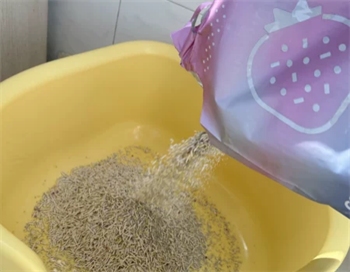 草莓猫砂除臭结团效果测评,使用体验如何? 草莓猫砂除臭结团效果测评,使用体验如何?