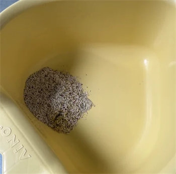 草莓猫砂除臭结团效果测评,使用体验如何? 草莓猫砂除臭结团效果测评,使用体验如何?